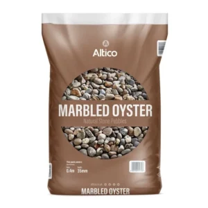 Marbled Oyster
