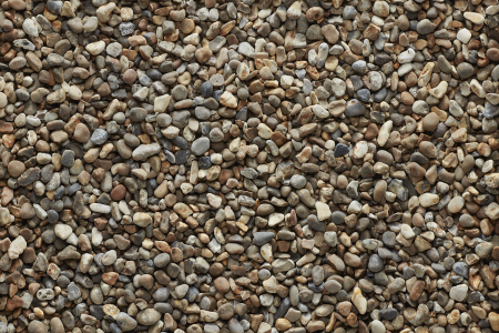 A10603_marbledoyster_dry_product